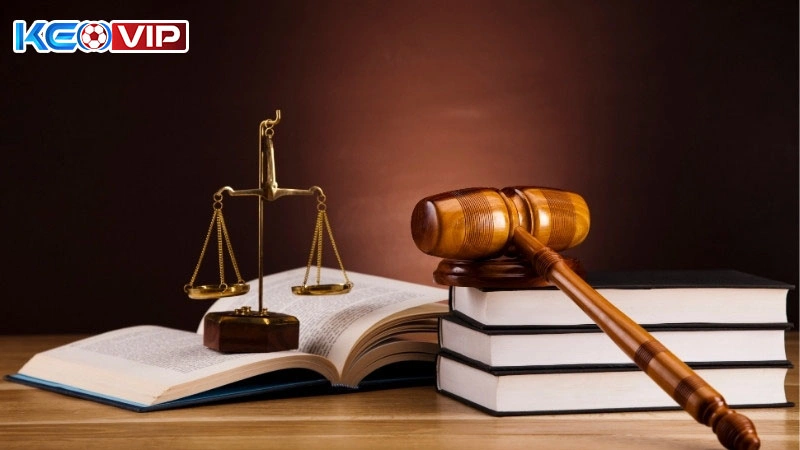 Nền tảng luôn tuân thủ các quy định pháp luật